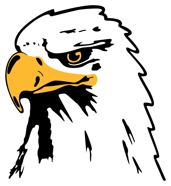 FERNDALE HIGH SCHOOL Logo