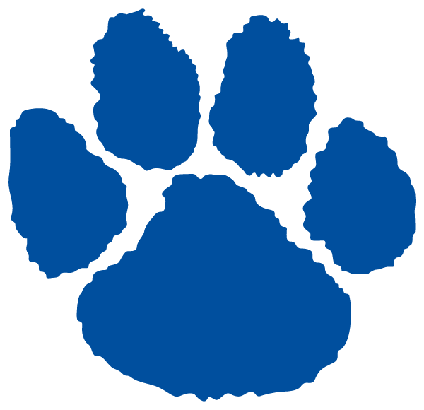 VALLEY VIEW HIGH SCHOOL Logo