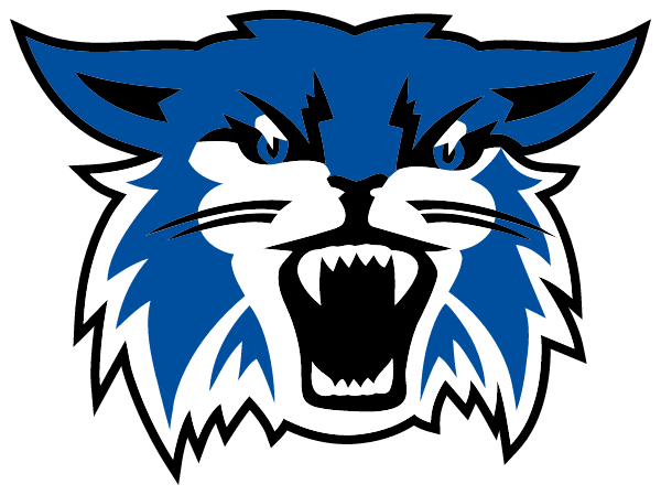 MESQUITE HIGH SCHOOL Logo