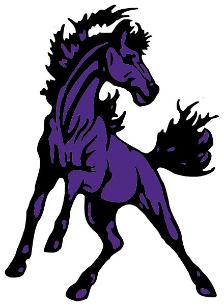 WOODLIN HIGH SCHOOL Sideline Store Mustangs (WOODROW, COLORADO) Spirit Apparel & Accessories Store