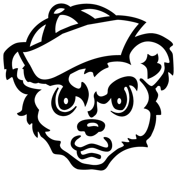 MADISON CONSOLIDATED HIGH SCHOOL Logo