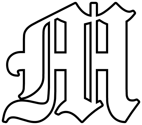 MAIDEN HIGH SCHOOL Logo