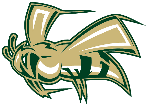 MINERAL SPRINGS HIGH SCHOOL Logo