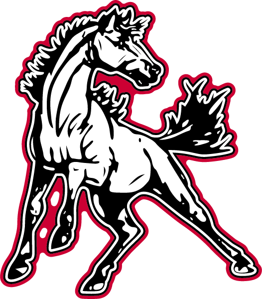MCDONALD COUNTY HIGH SCHOOL Logo