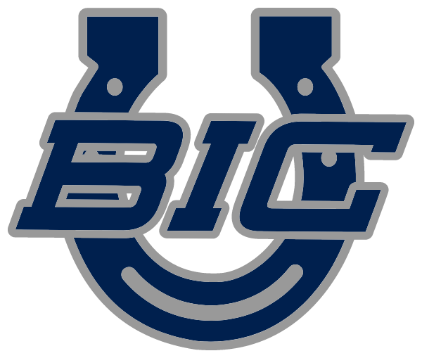 BUFFALO ISLAND HIGH SCHOOL Logo