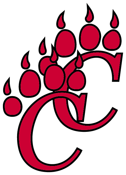 CHATHAM CENTRAL HIGH SCHOOL Logo