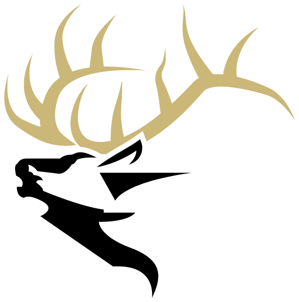 COTTON CENTER HIGH SCHOOL Logo