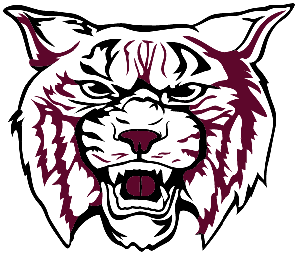 BAPTIST HILL HIGH SCHOOL Logo