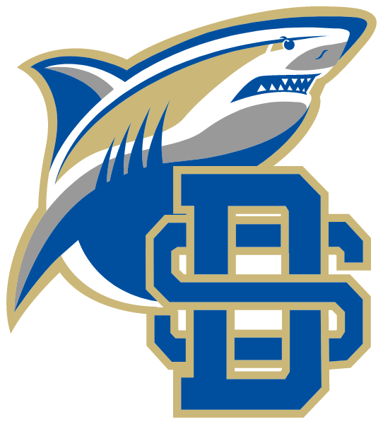 Divine Savior Academy Logo