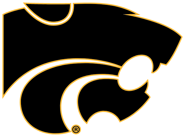 JANESVILLE CONSOLIDATED H S Logo