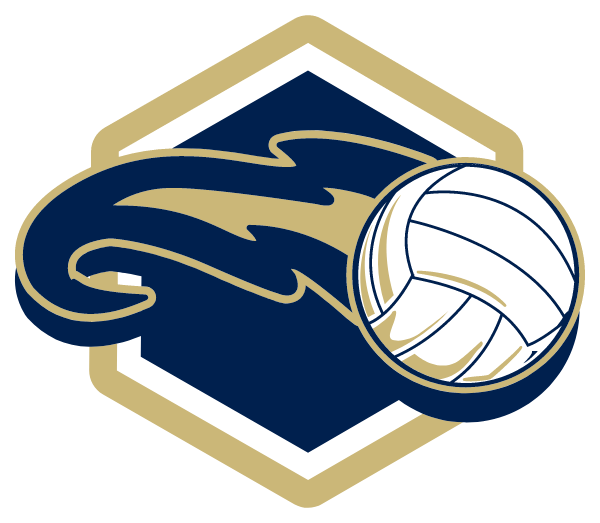 ST DAVID'S HIGH SCHOOL Logo