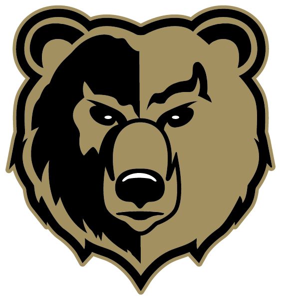 LINCOLN HIGH SCHOOL Sideline Store GOLDEN BEARS (LINCOLN, ALABAMA) Spirit Apparel & Accessories Store