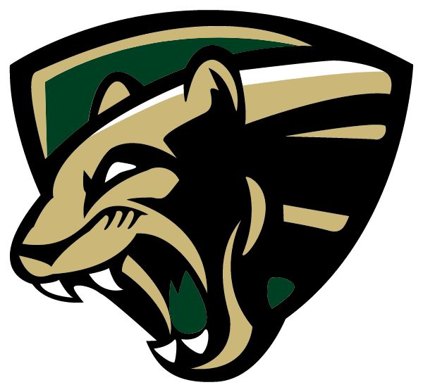 NEASE HIGH SCHOOL Sideline Store Sideline Store