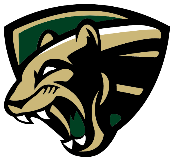 NEASE HIGH SCHOOL Logo