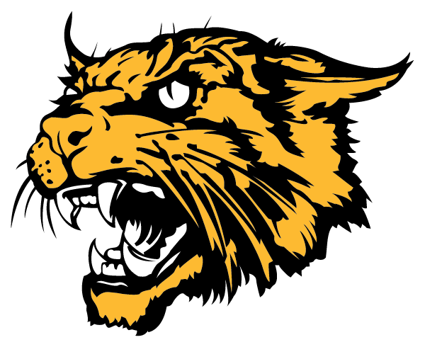 MOSCOW HIGH SCHOOL Logo