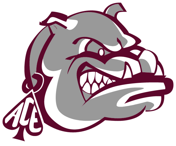 LOWER MERION HIGH SCHOOL Logo