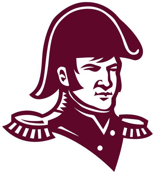 TOWSON HIGH SCHOOL Logo