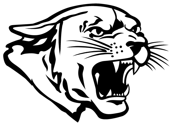 NORTHEASTERN CLINTON CENTRAL H S Logo