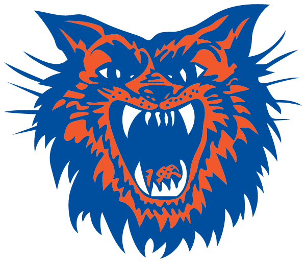 CHRISTOPHER HIGH SCHOOL Logo