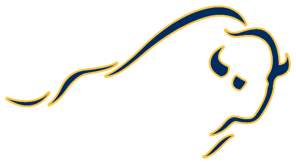 BUFFALO HIGH SCHOOL Logo