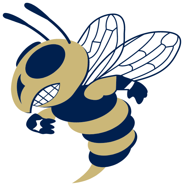 HANOVER HIGH SCHOOL Logo