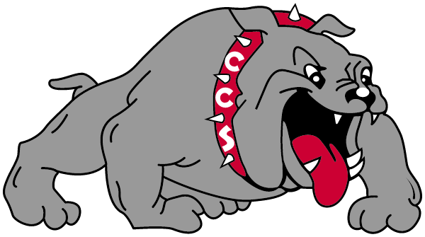 CHATEAUGAY CENTRAL HIGH SCHOOL Logo