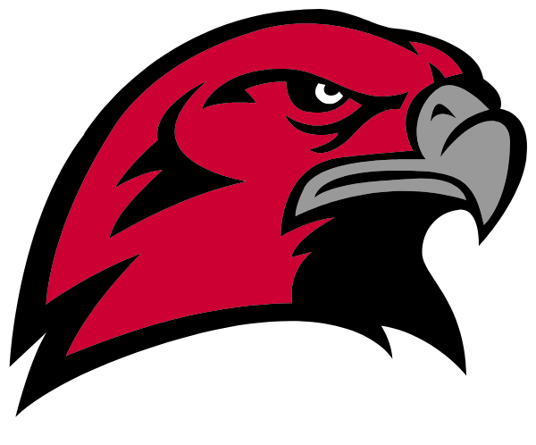 HAMBURG AREA HIGH SCHOOL Logo