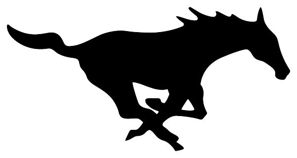 SOUTH WESTERN SENIOR HIGH SCHOOL Sideline Store Mustangs (HANOVER, Pennsylvania) Spirit Apparel & Accessories Store