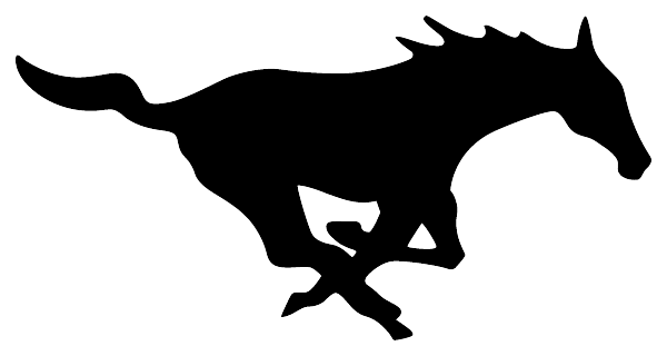 SOUTH WESTERN SENIOR HIGH SCHOOL Logo