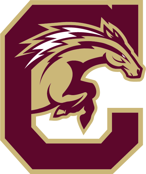 CHEEKTOWAGA CENTRAL HIGH SCHOOL Logo