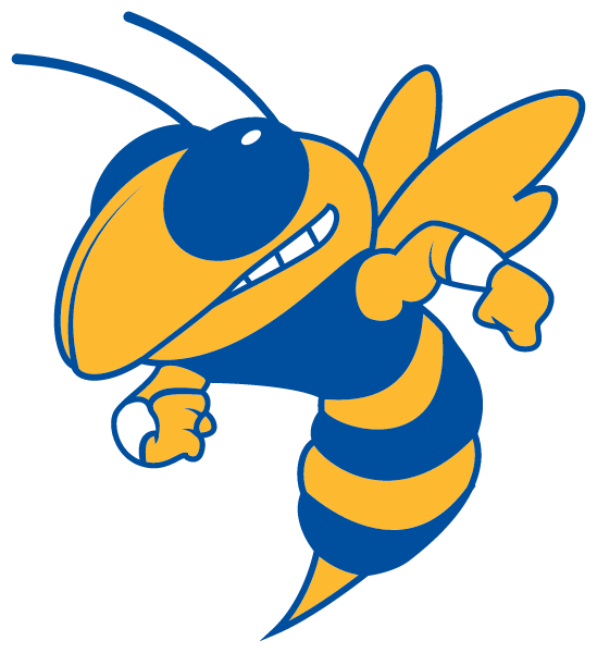 MOUNTAIN VIEW HIGH SCHOOL Logo