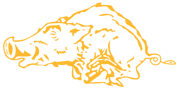 CRYSTAL CITY HIGH SCHOOL Logo