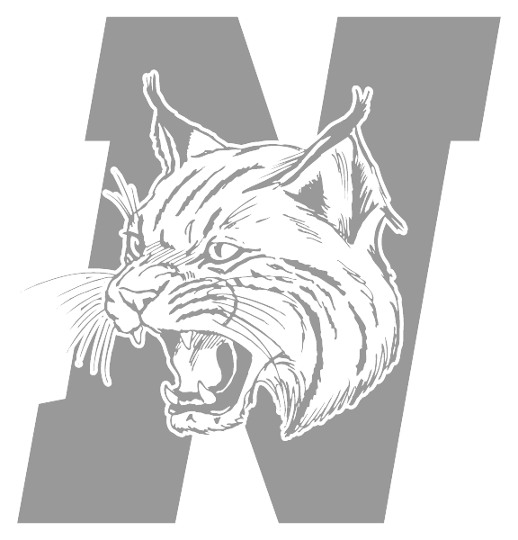 NORWAYNE HIGH SCHOOL Logo