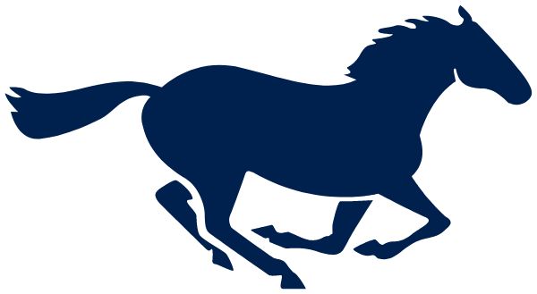 RIDGEVIEW HIGH SCHOOL Sideline Store Mustangs (COLFAX, ILLINOIS) Spirit Apparel & Accessories Store