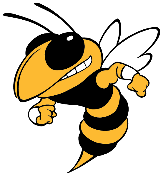 MULBERRY HIGH SCHOOL Logo