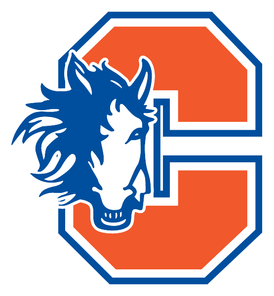 CHESTER ACADEMY Logo