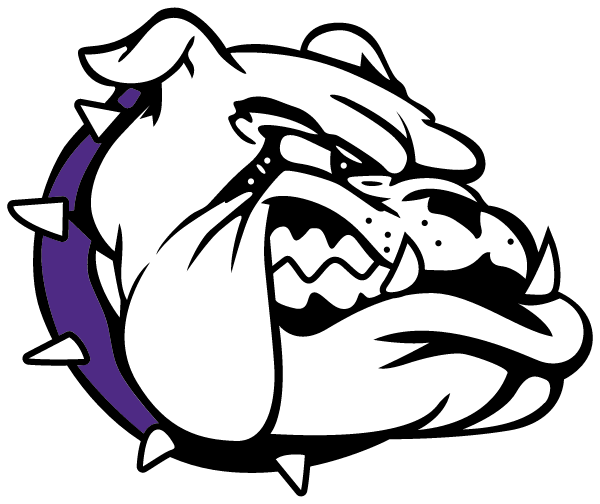 LAKE MILLS HIGH SCHOOL Logo