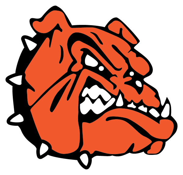 DALTON LOCAL HIGH SCHOOL Logo