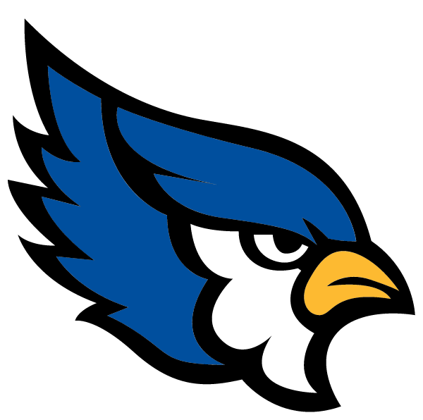 LIBERTY HIGH SCHOOL Logo