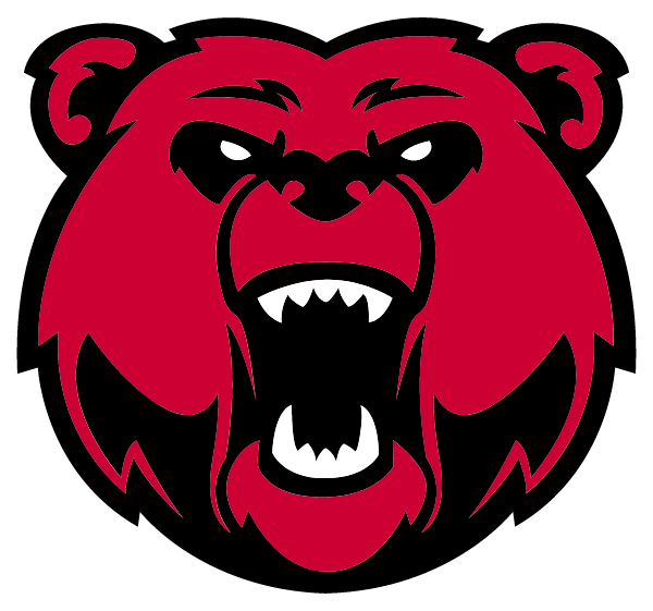 CHITTENANGO CENTRAL HIGH SCHOOL Logo