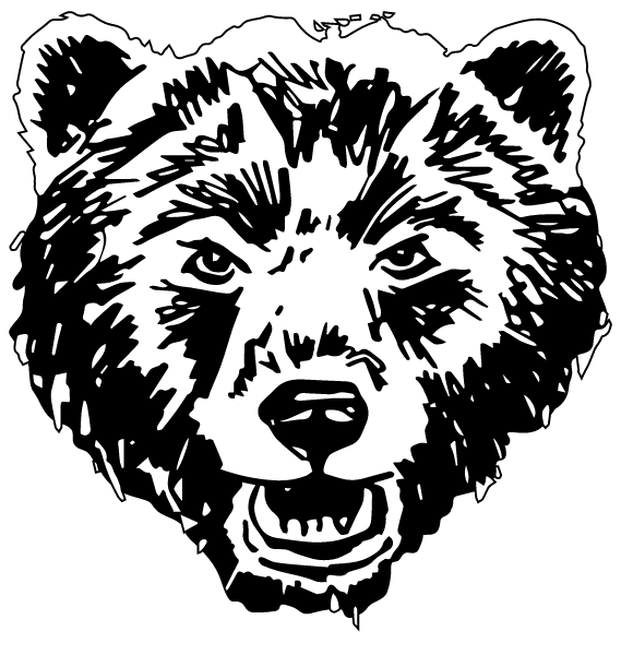 MOUNT AIRY HIGH SCHOOL Logo
