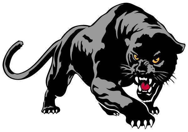 PIONEER VALLEY REGIONAL SCHOOL Sideline Store Panthers (NORTHFIELD, MASSACHUSETTS) Spirit Apparel & Accessories Store