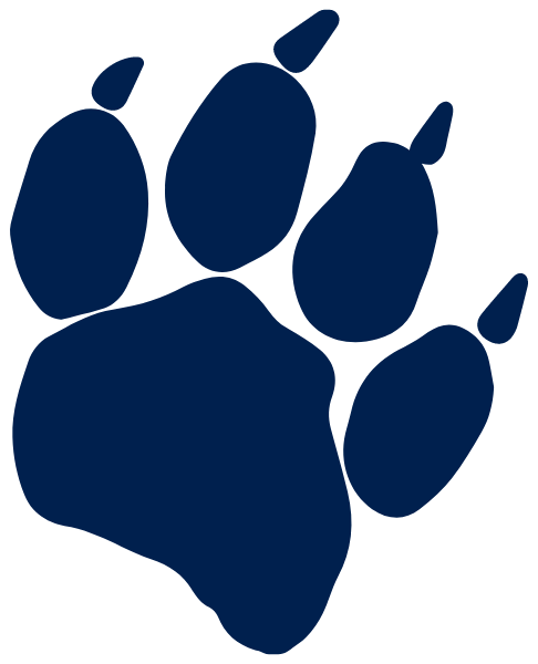 NORTH PIKE HIGH SCHOOL Logo