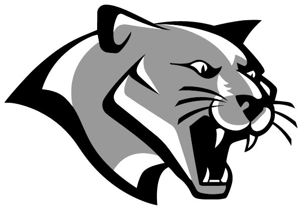 Hazleton Area High School Sideline Store Cougars (HAZLETON, PENNSYLVANIA) Spirit Apparel & Accessories Store