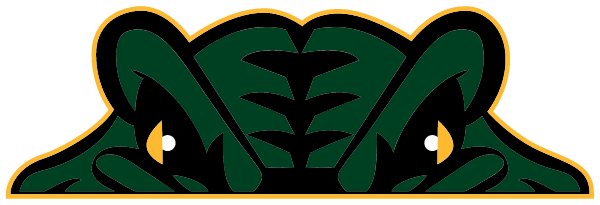 CRYSTAL LAKE SOUTH HIGH SCHOOL Logo