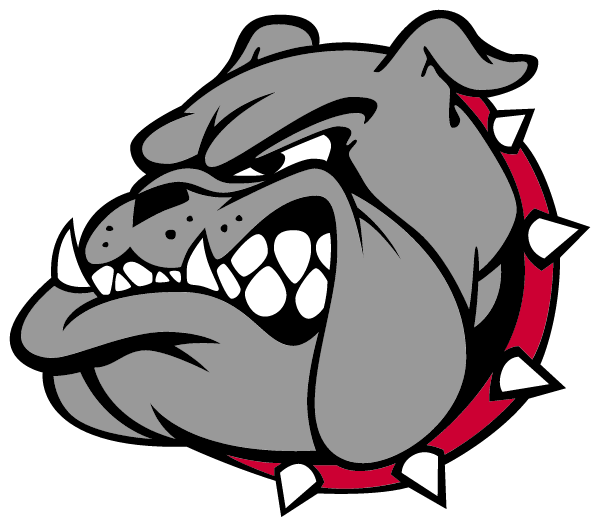LE MARS COMMUNITY HIGH SCHOOL Logo
