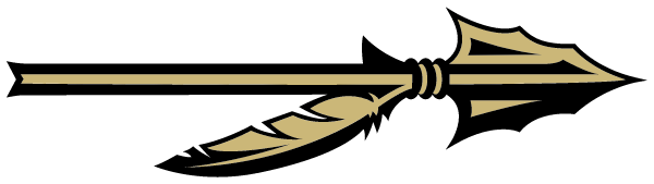 DAVIDSON HIGH SCHOOL Logo
