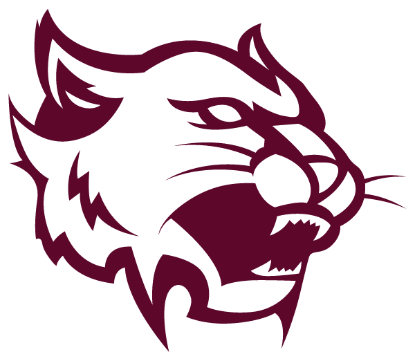 MOUNT VERNON HIGH SCHOOL Logo