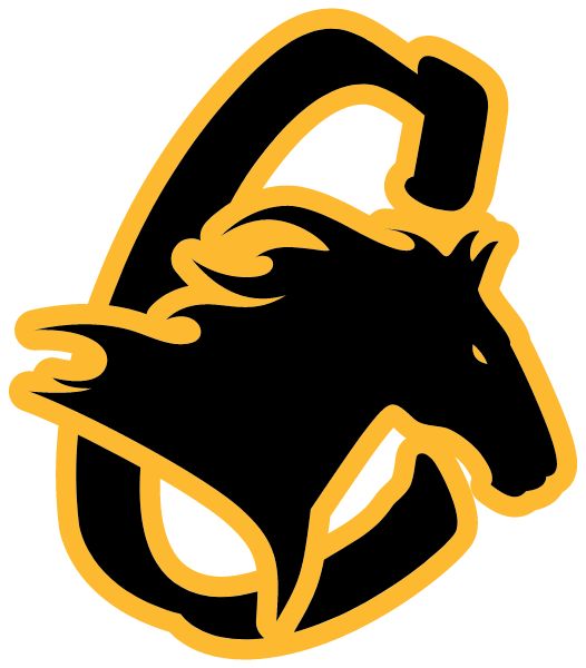 COVENANT CHRISTIAN HIGH SCHOOL Sideline Store Chargers (GRAND RAPIDS, MICHIGAN) Spirit Apparel & Accessories Store