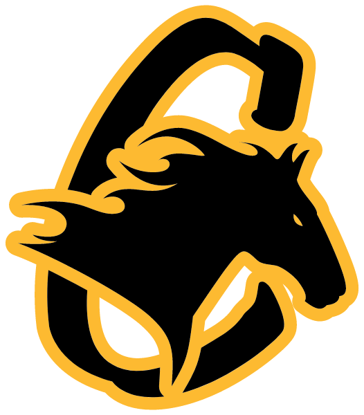 COVENANT CHRISTIAN HIGH SCHOOL Logo